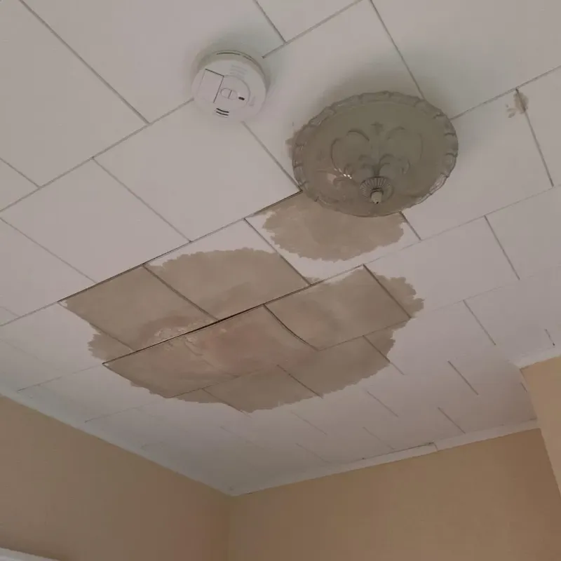 Ceiling Water Damage Repair in Port Edwards, WI