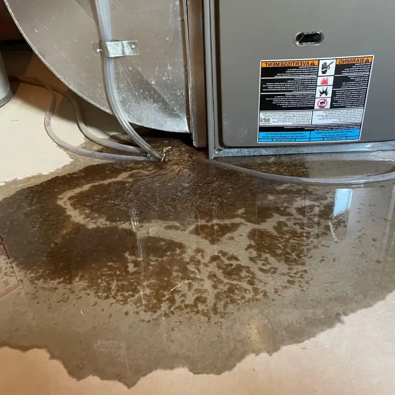 Pipe Burst and Leak Restoration in Port Edwards, WI